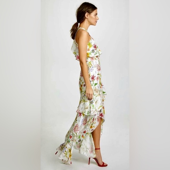 Parker Fillipa Sleeveless Halter Neck High/Low Ruffle Maxi Dress Floral Sangria - Picture 10 of 10